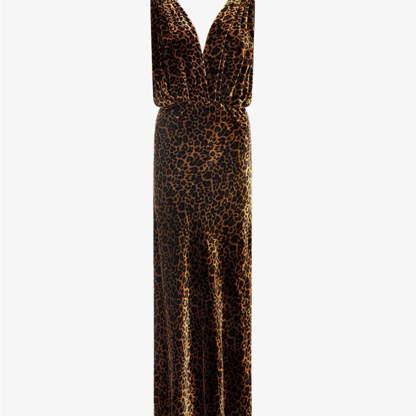 Mes Demoiselles “Travis” Long Dress Dress In Silk Velvet Leopard Print Nwt